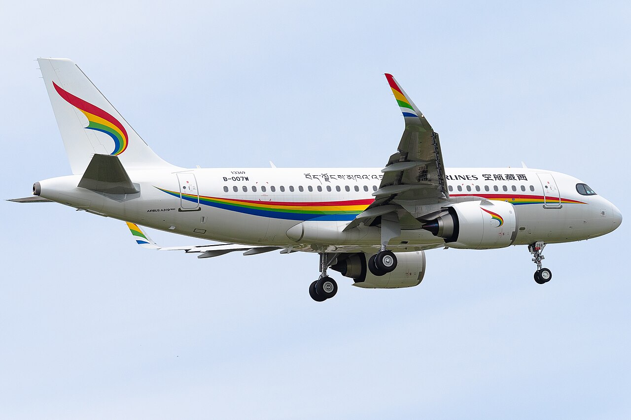 Airbus A319neo commercial airliner